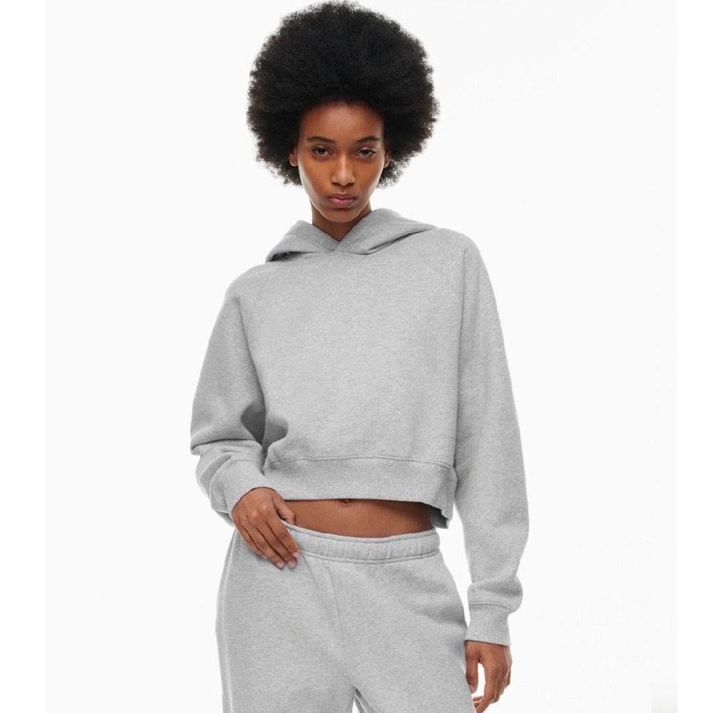 Aritzia Tna Cozy SweatFleece Mega Fit Boxy Boyfriend Crop Hoodie grey 2XS